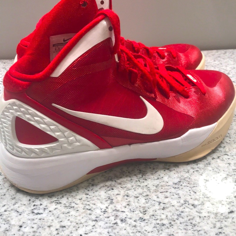 Nike Zoom Hyperdunk Metallic 154150-600